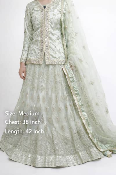 elegent sea green embroiderd dress