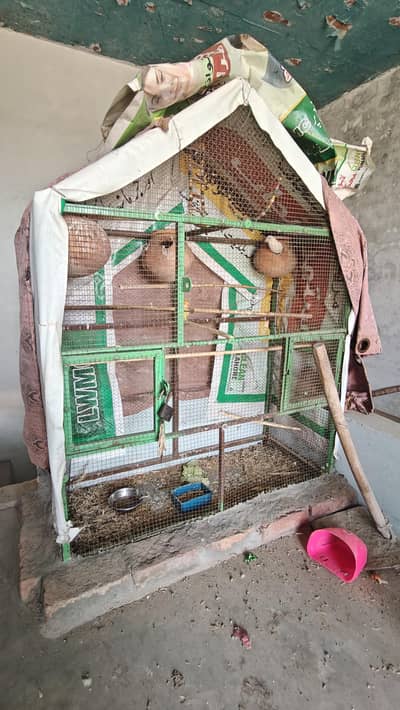 cage with 1 pair labbaino ring Birds