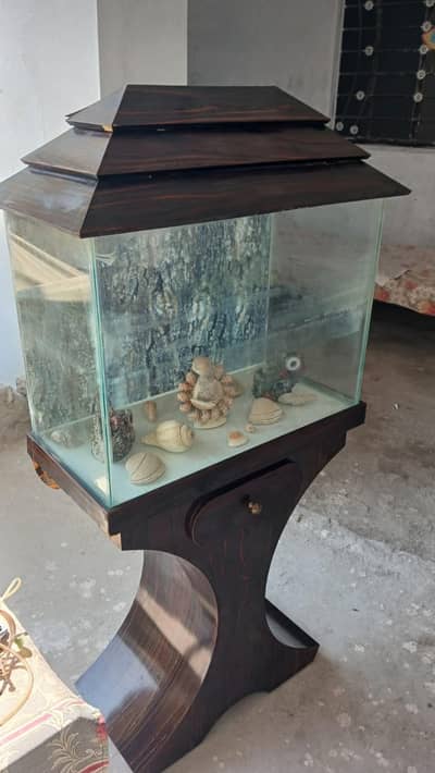 Fish Aquarium New Lush Condition.