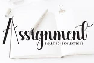 professional Assignment writing service