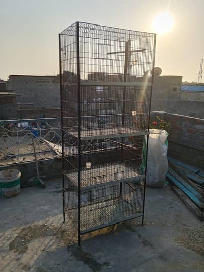 Urgent Bird Cage Lahore Sale