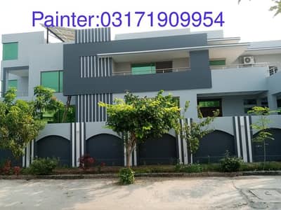 25y Experienced Painter