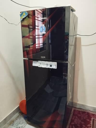 refrigerator & freezer