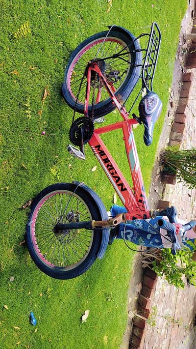 Morgan original cycle for 10 year old baby