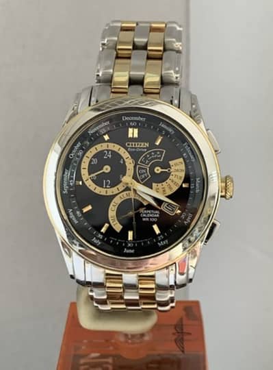 Citizen eco drive perpetual callendar solar watch