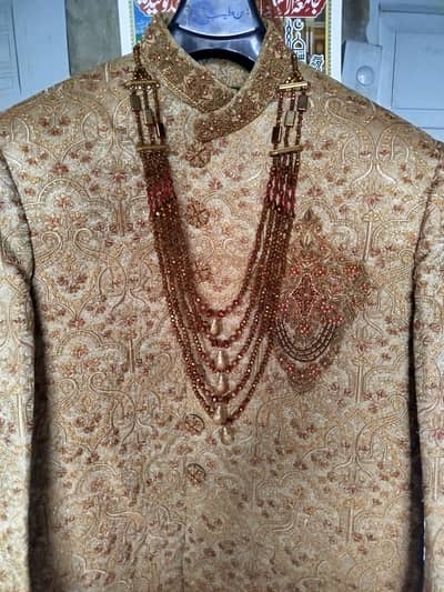 Bin Tayab 10 by 10 condicion