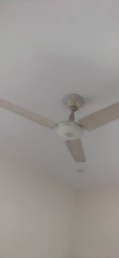 56" ka selling fan for sale