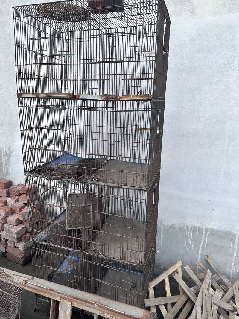 8 box cage 1
