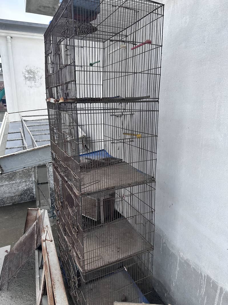 8 box cage 2