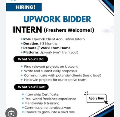 Senior Upwork Bidder/ Marketer Required  Urgently