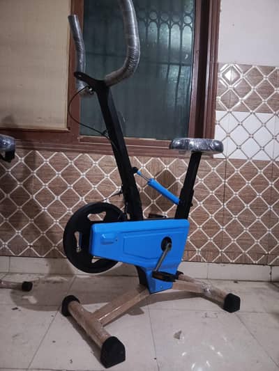 EXERCISE CYCLE  2 IN 1