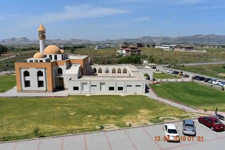 D18 ECHS 600 square yard good location plot available for sale