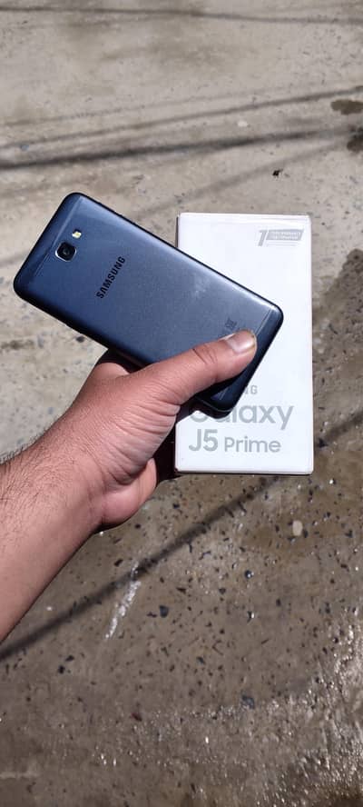 03086665102 what's app