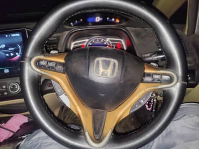 Reborn multimedia cruise and paddle shifter steering