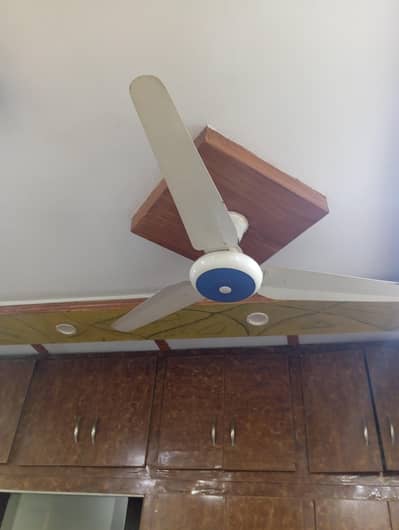 Ceiling Fan