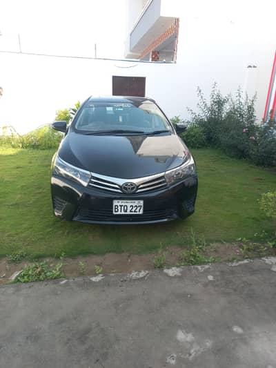 my tutor gli for sale 03407282863