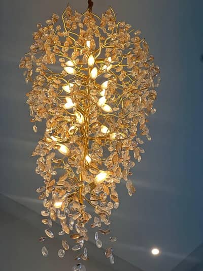 1 Kanal Brand New Designer House Available For Rent In DHA Phase 2