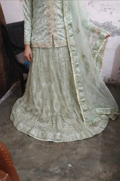 elegant sea green embroiderd dress