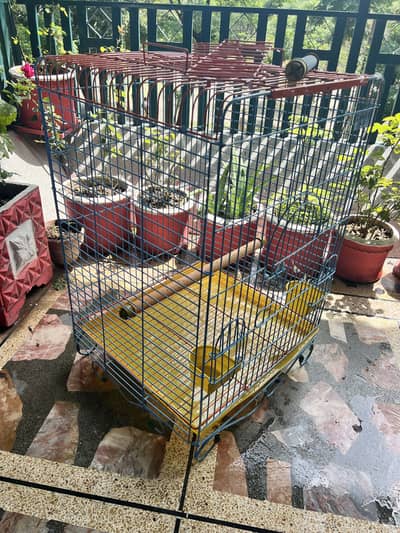 Parrot and Birds Cage || Rainbow color beautiful cage ||new and packed