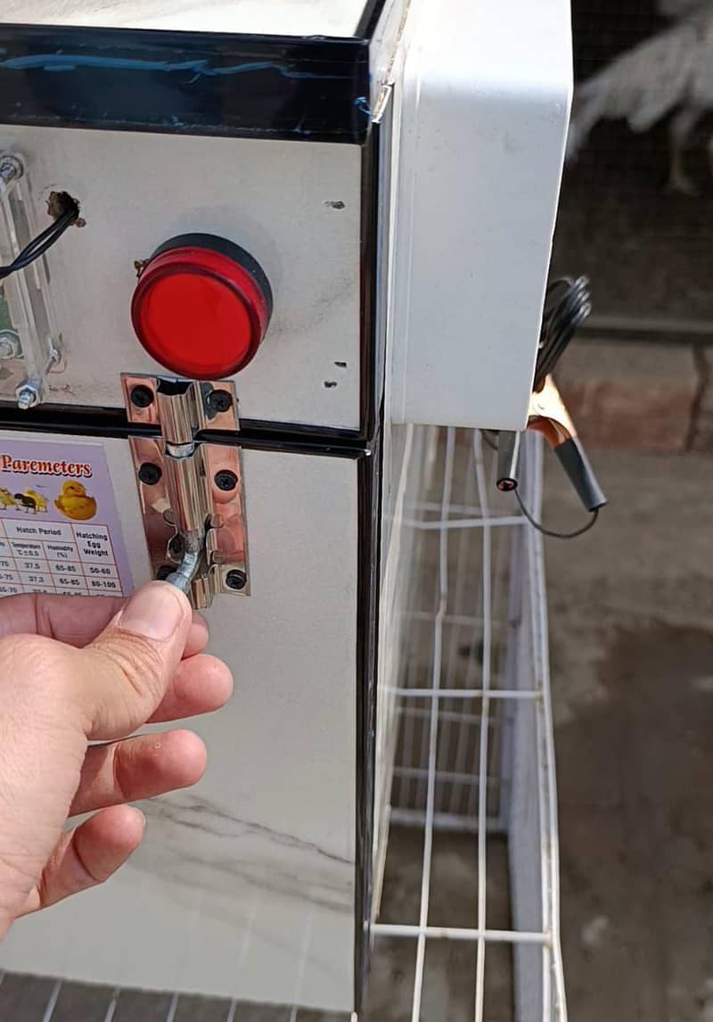 Automatic incubator 1