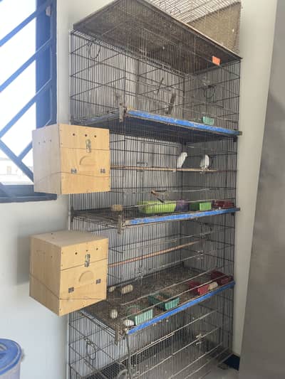 8 portion cage folding for sale