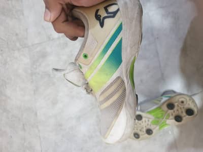 Kookaburra Spikes For sale