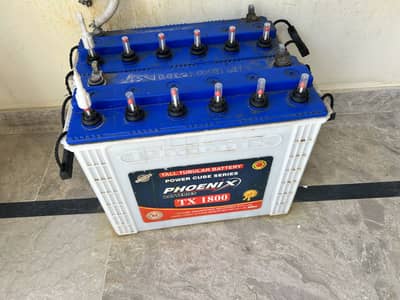 Phoenix Tall Tublar Tx1800