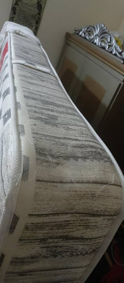 Spring mtrs daimond haii 8 inch 4 month use