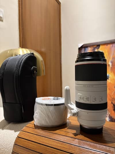 Canon Rf 100-500 mm L lens