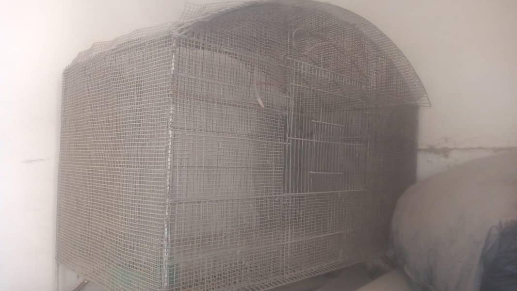 Single Portion Cage 3