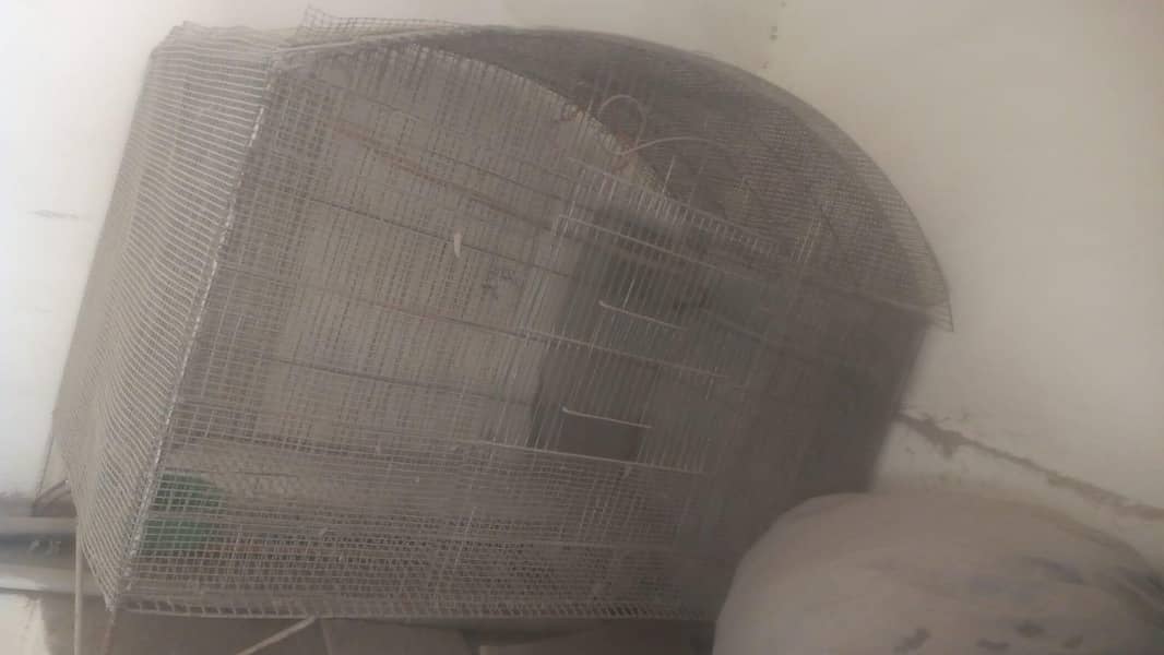 Single Portion Cage 4