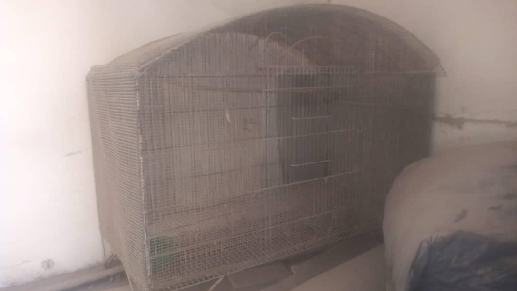 Single Portion Cage 5