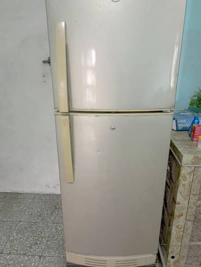 PEL Refrigerator 10/10