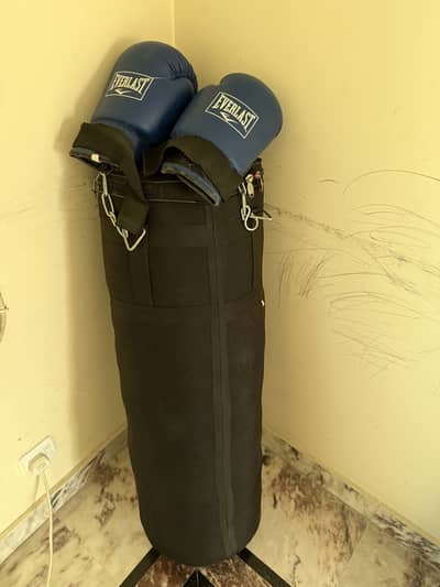 Everlast punching bag with gloves