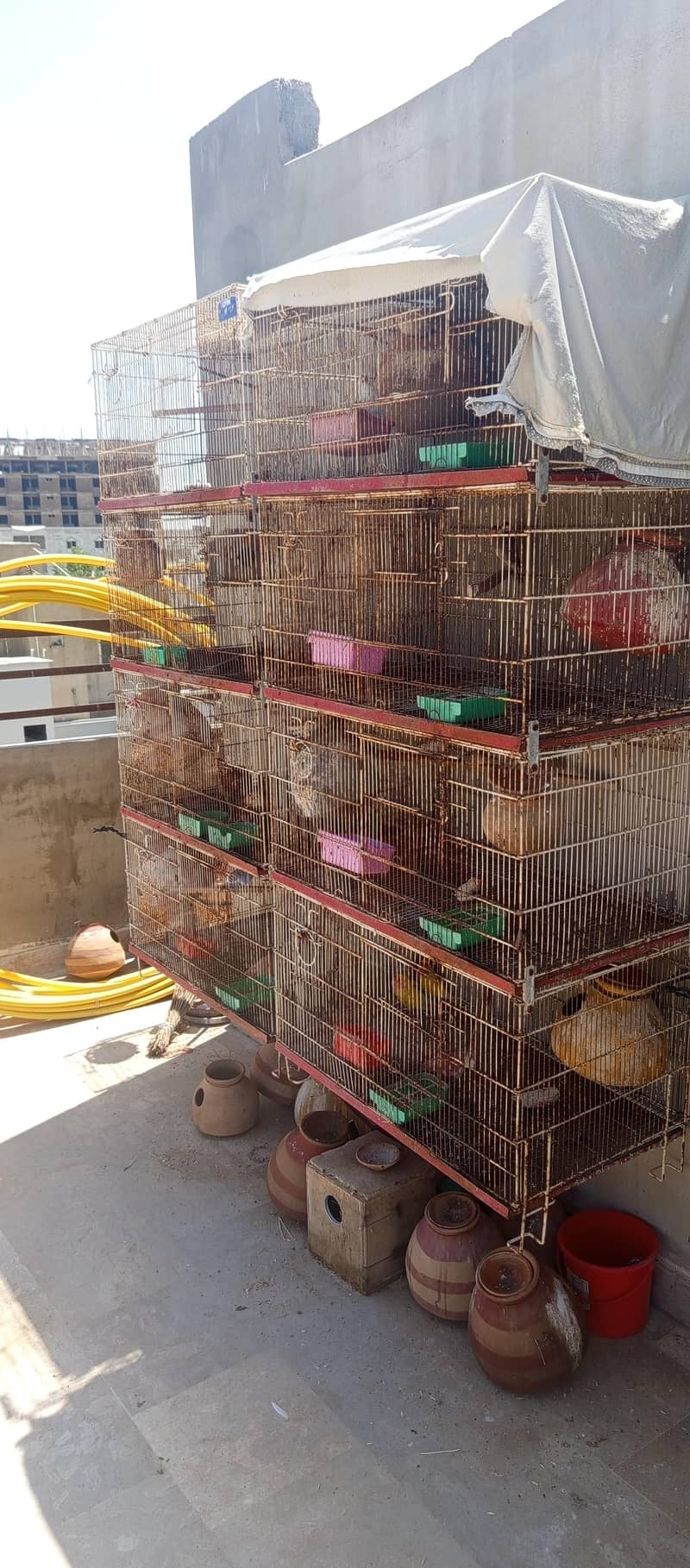 Cages & Full Setup 1