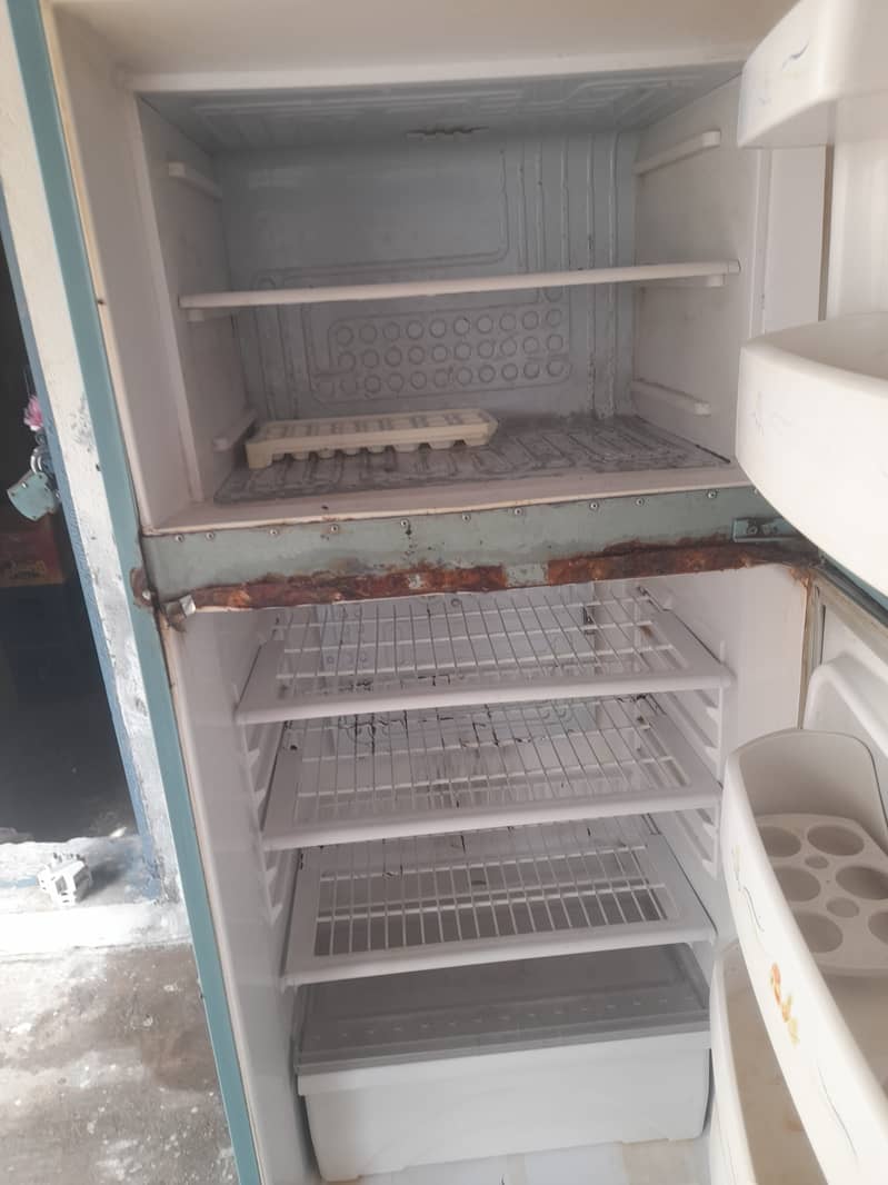 waves fridge medium size 2