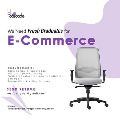 Needed expert Graphics Designer On Site / 0305455407