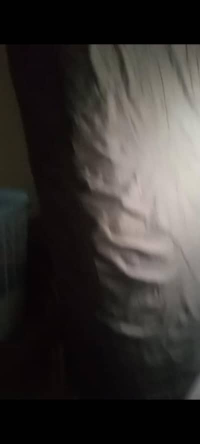 bad sale r master moltyform matrix orthopedic