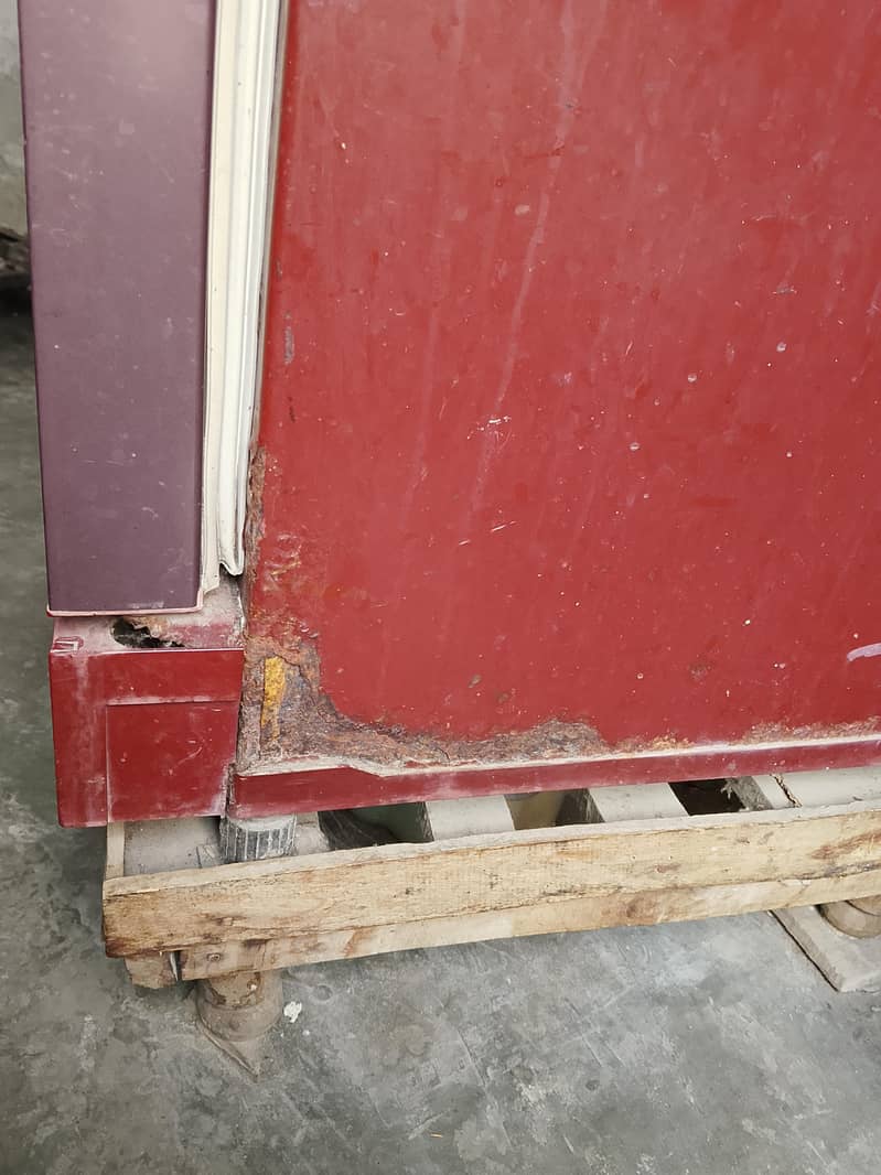 medium size ferige 1