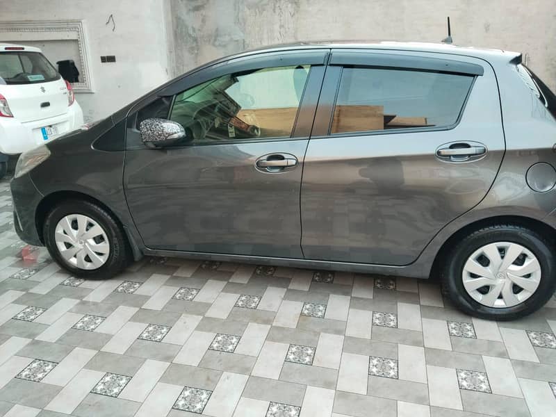 Vitz  total 11