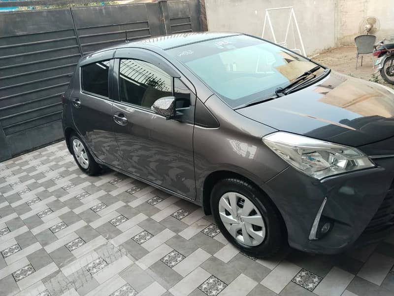 Vitz  total 12