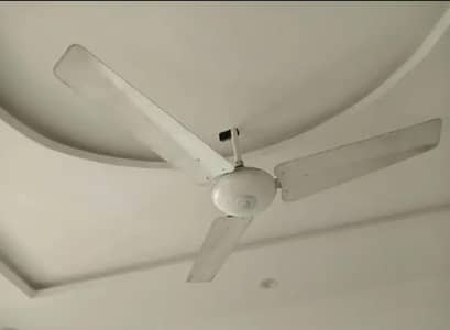 orignal coper fan for sale