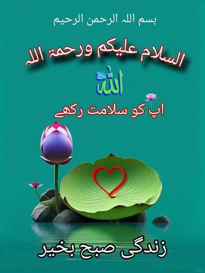 Home / Kitchen Helper cum driver Green City Lahore