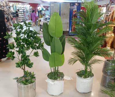 Artificial Washable Plants