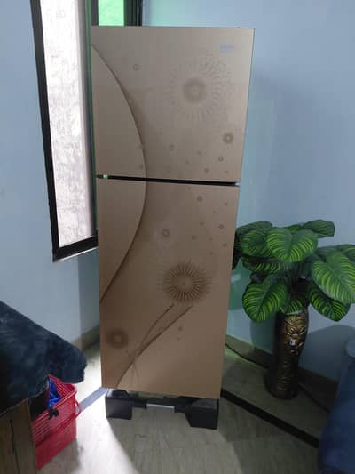 Orient fridge Gold color