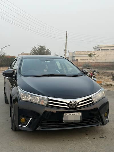 Chat,Digee,Bonut Genuine