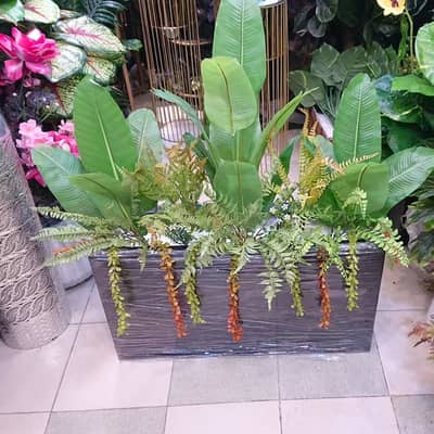 Artificial Ready Kyari Available