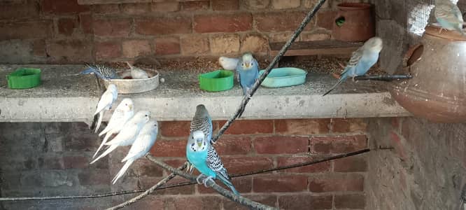 if you want then contact