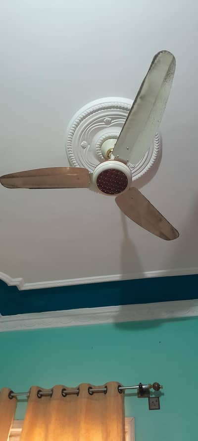 Need Maid only for 1  or 2 hour