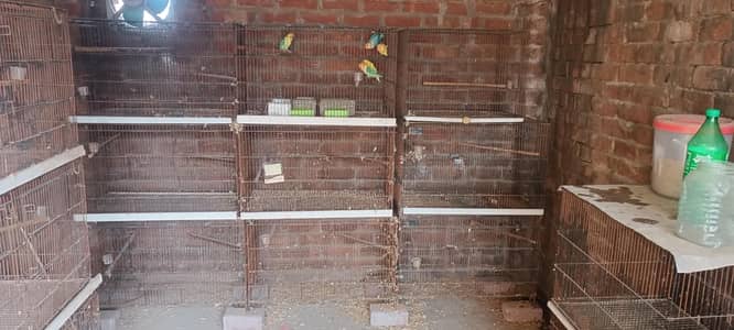 Foldable Bird Cages For Slae At very cheap price